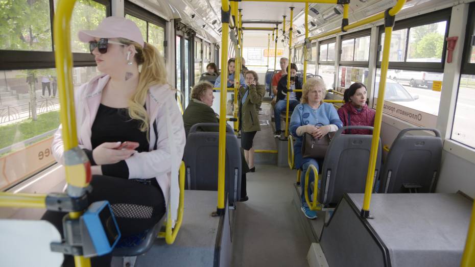 Запуск троллейбусов с автономным ходом в Воронеже может обойтись в 8 млрд рублей