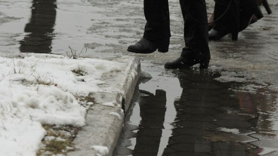 Синоптики спрогнозировали аномальное тепло в Воронежской области