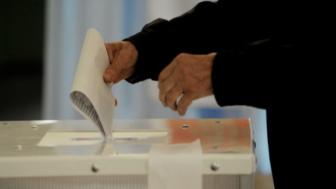 В 13 поселениях Семилуского района выберут местных депутатов