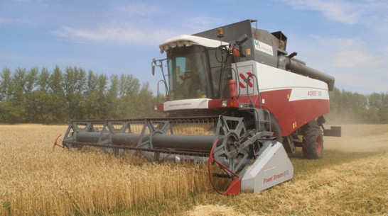 В Новоусманском районе собрали самый большой урожай зерновых за последние годы