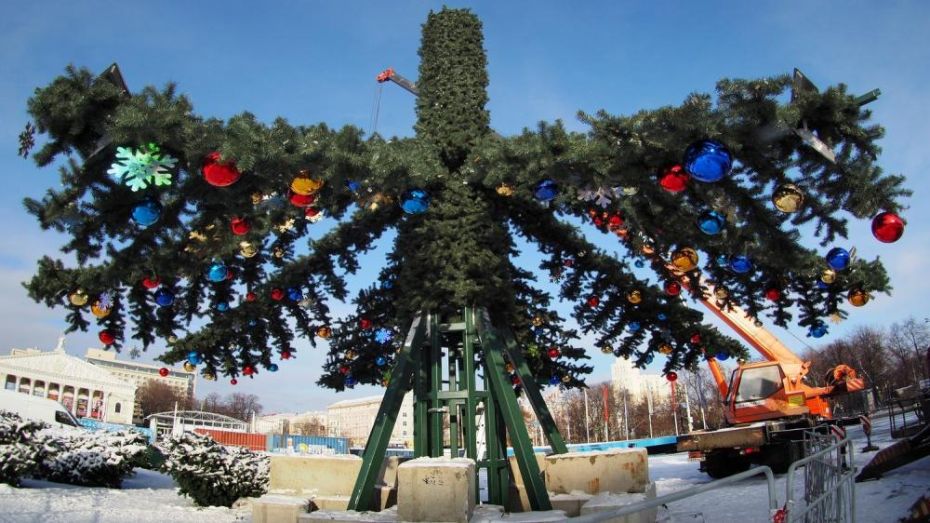 До 1,9 млн рублей потратят на установку новогодней елки на главной площади Воронежа 