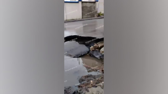 На улице Пешестрелецкой в Воронеже из-за ливня провалился асфальт