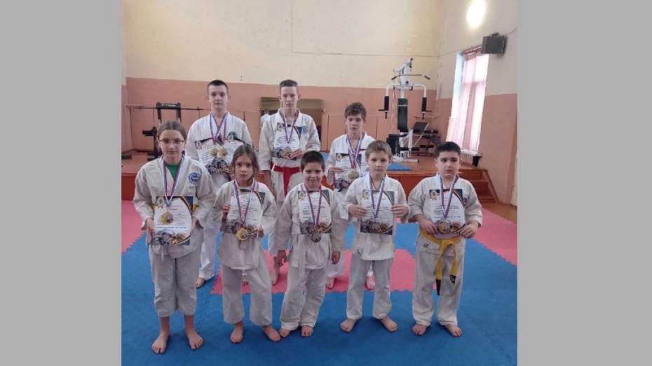 Юные верхнехавские каратисты завоевали 7 золотых медалей на областных соревнованиях
