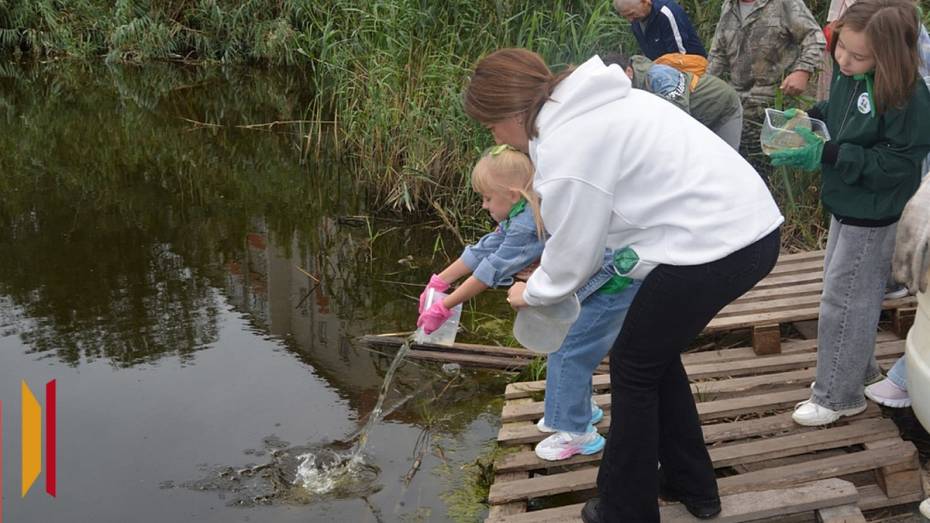 В россошанское озеро выпустили 1,5 тыс мальков