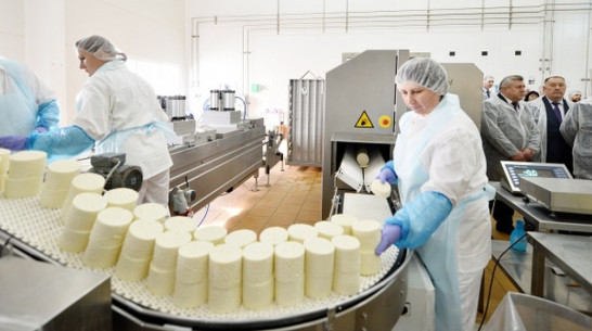 Объем промышленного производства в Воронежской области в 2015 году вырос на 3,1%