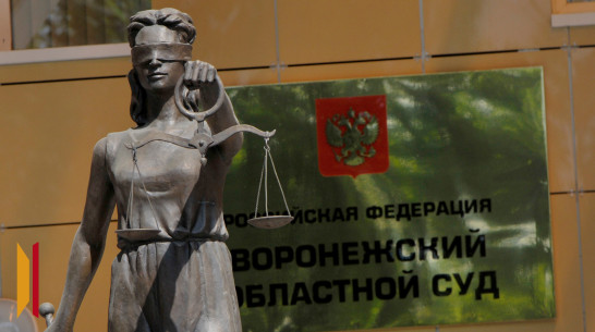 Передававший украинским военным данные о дислокации комплекса РЭБ воронежец предстанет перед судом