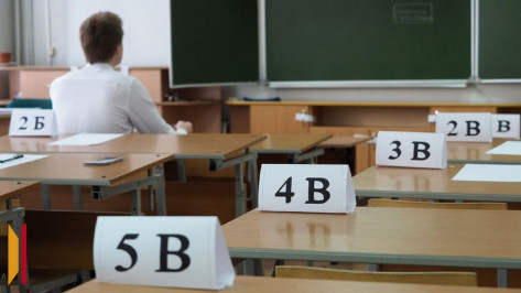 В Воронежской области 275 школьников из нуждающихся семей приняли участие в проекте по бесплатной подготовке к сдаче ЕГЭ