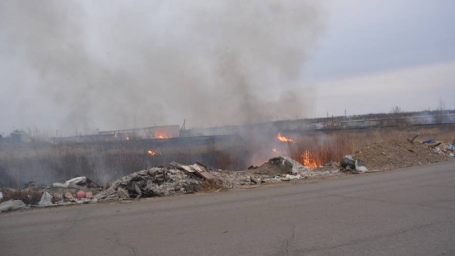 В Россошанском районе едва не сгорели маслоцех, пилорама и гаражи