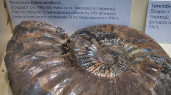 Дивногорье привезет в Воронеж «Детство Земли»