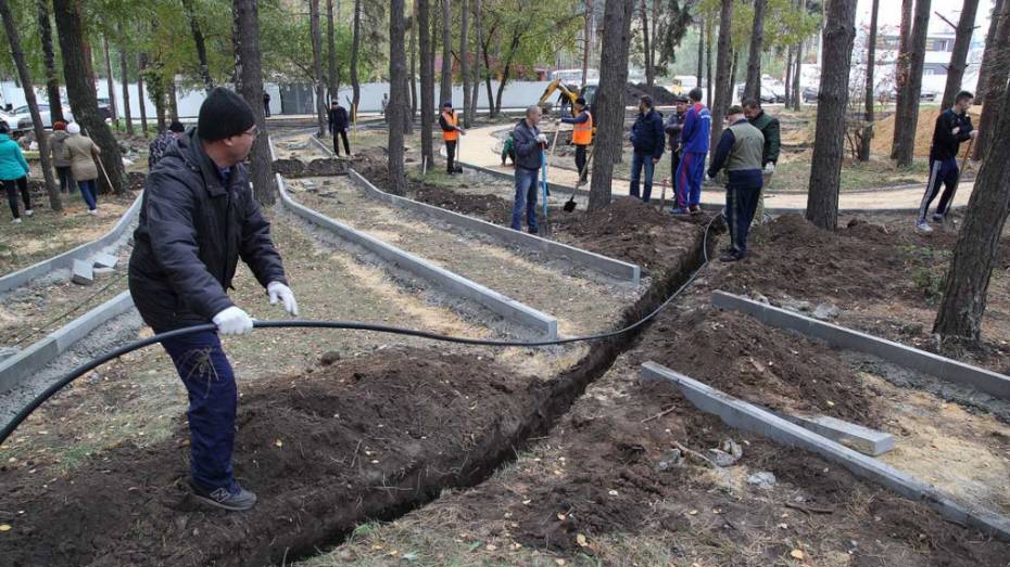 В Воронеже активисты благоустроят сквер на улице 9 Января на средства гранта