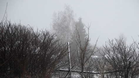 Желтый уровень погодной опасности продлили в Воронежской области