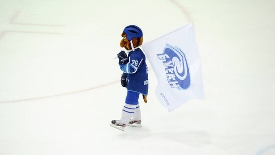 Воронежские налоговики потребовали признать хоккейный «Буран» банкротом