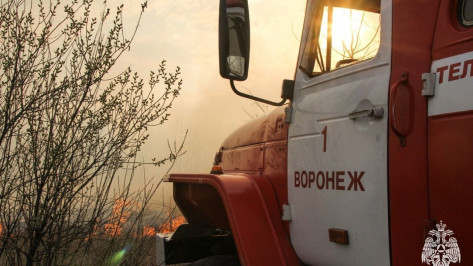 Пожар уничтожил 2 заброшенных дома и 3 сарая в Воронежской области