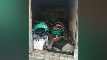 В Воронежской области в кузове грузовика перевозили 1,5 тонны мяса в антисанитарных условиях
