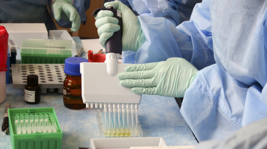 В Воронежской области выявили 91 новый случай COVID-19