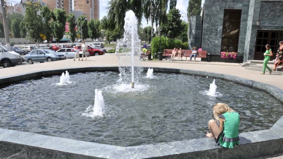 Погода в Воронеже побила 65-летний температурный рекорд
