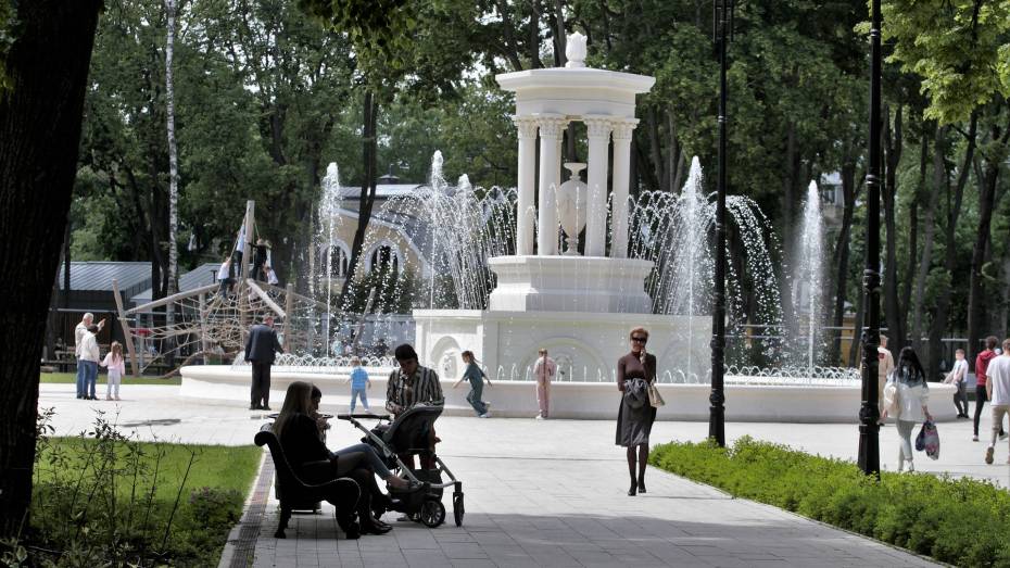 Второе уголовное дело возбудили после реконструкции парка «Орленок» в Воронеже