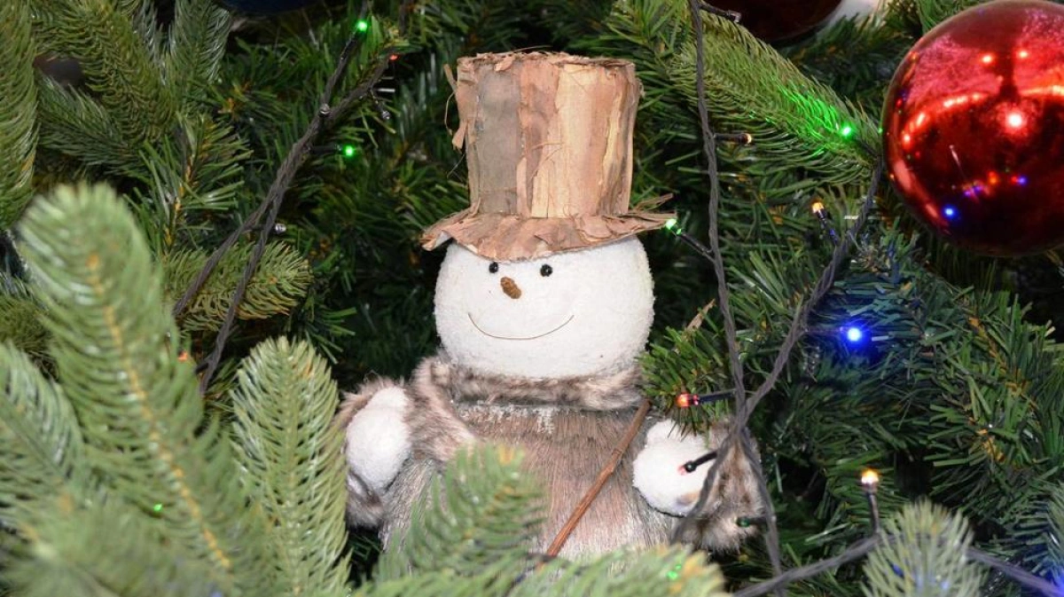 Елка уехала. Утилизация елок. Кремлевская новогодняя елка. Ёлочки свалены шалашиеком. Главная елка кремля 2020 москва.