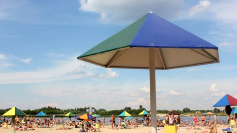 В Воронежской области объявили штормовое предупреждение по жаре