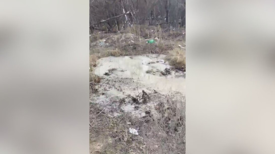 Воронежские экологи обратились в полицию для поиска сливших бетон рабочих