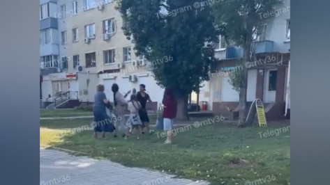 В Воронеже неадекватный мужчина избил жену и ударил заступившуюся за нее девушку скейтом в лицо: видео