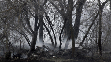 Пожар на площади в полгектара тушат в лесу воронежского микрорайона Боровое