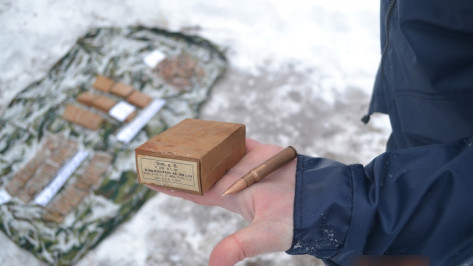 ФСБ нашла блиндаж с боеприпасами возле Нововоронежской АЭС