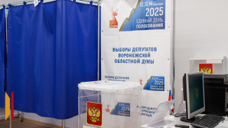 В Воронежской области завершилось голосование на выборах в областную и городскую думы и в органы местного самоуправления