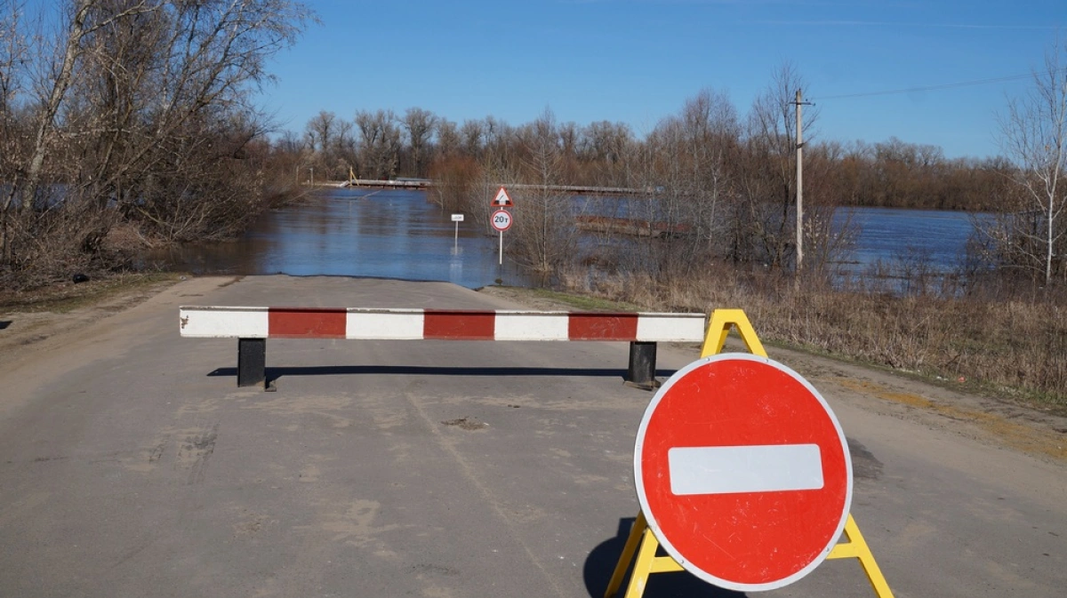 Мост в богучарском районе. Понтонный мост Богучар. Галиевка Воронежская область Понтонный мост. Галиевка Понтонный мост переправа.