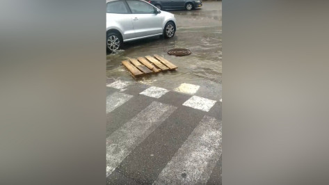 Канализационные реки затопили улицу Шишкова в Воронеже из-за отключения электричества