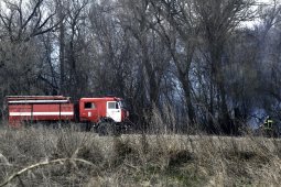 Воронежский губернатор призвал вводить особый противопожарный режим раньше