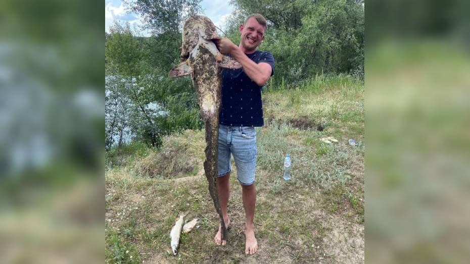 В Павловском районе рыбак поймал 1,5-метрового сома