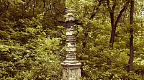 Воронежцев спросят, как они хотят назвать парк «Динамо»