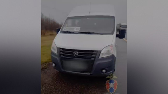 Воронежские госавтоинспекторы пришли на помощь пассажирам сломавшегося рейсового автобуса из Россоши