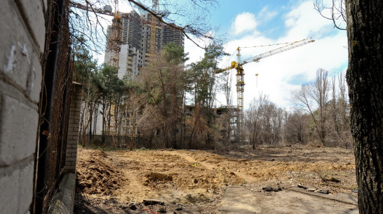 Строительство ледового дворца в Воронеже начнут в 2018 году