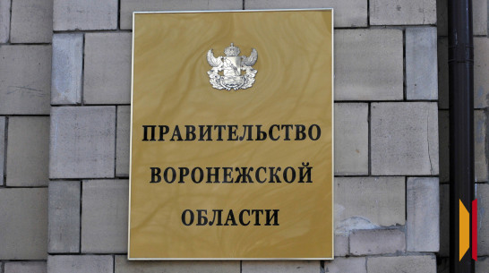 В Воронежской области учредили новую награду для граждан и организаций