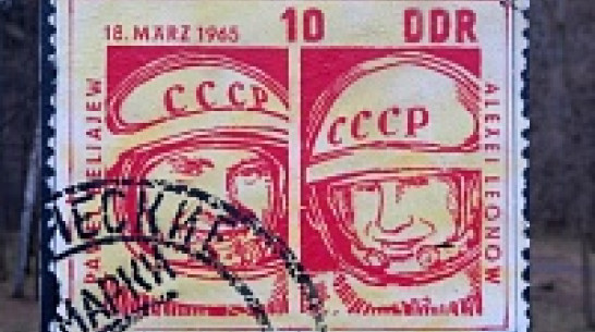 Лучший трафаретчик России нарисует масштабное историческое панно с воронежцами