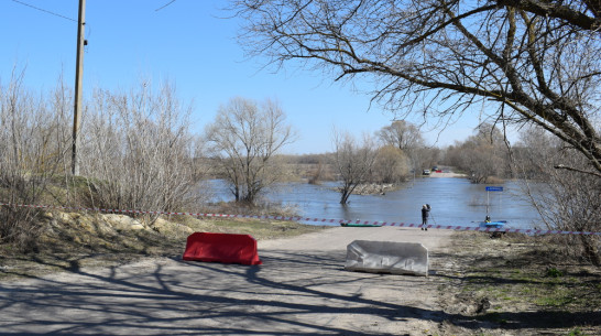 В Грибановском районе открыли движение через реку Ворона после весеннего разлива