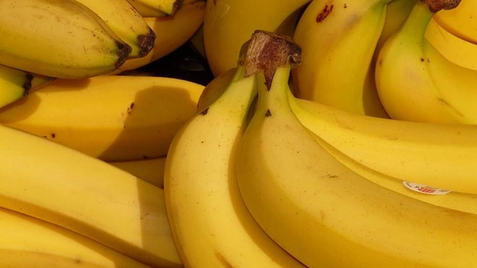 Немецкие супермаркеты по ошибке получили 400 кг кокаина вместо бананов