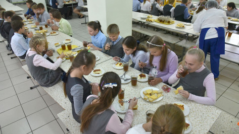 В Воронежской области для детей из Белгорода подготовят более 300 мест