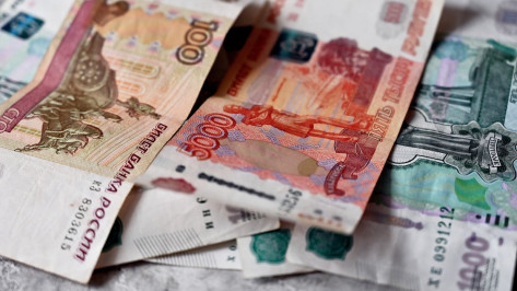Воронежцы получили более 850 млн рублей на компенсацию квартплаты и услуг ЖКХ