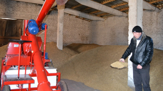 Нижнедевицкие аграрии запасли семена для пересева озимых