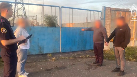 Экс-полицейского из Воронежской области осудили на 17 лет за поджог 3 электроподстанций