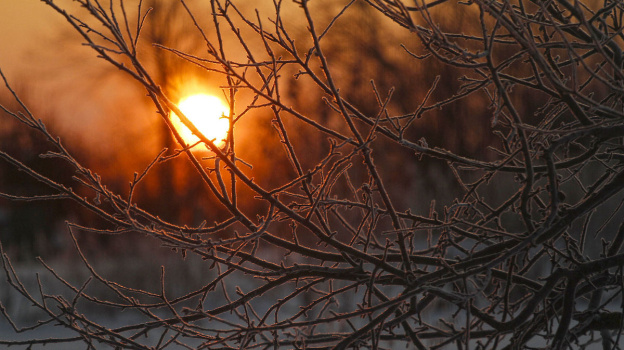 Оранжевый уровень погодной опасности ввели в Воронежской области из-за аномальных холодов