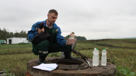 В Павловском районе исследовали воду возле свинокомплекса