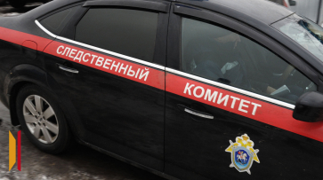 СК возбудил уголовное дело после нападения собак на воронежца в парке Оптимистов