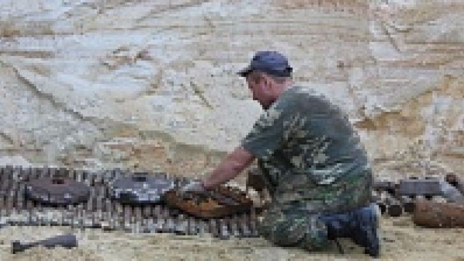 В Таловском районе подрывники уничтожили 212 боеприпасов