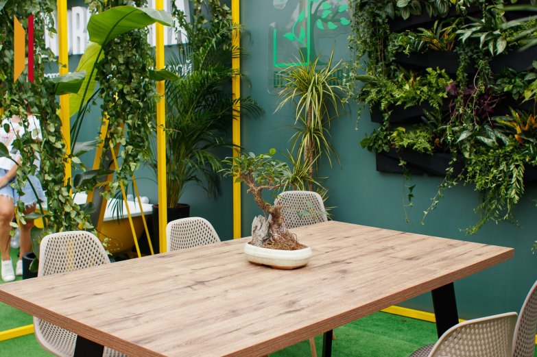 Дендратерра