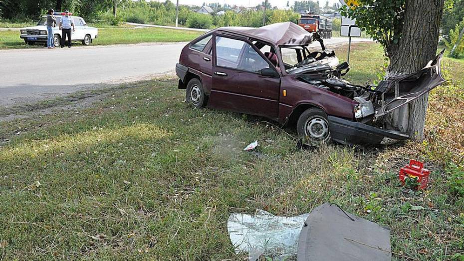 В Эртиле пьяный водитель врезался в дерево