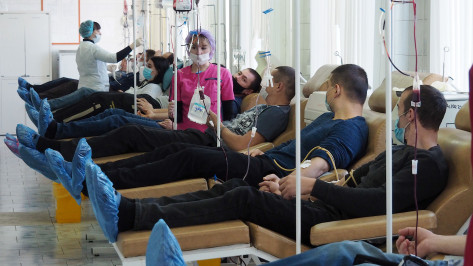База доноров Воронежской области пополнилась на 1,5 тыс человек с начала года